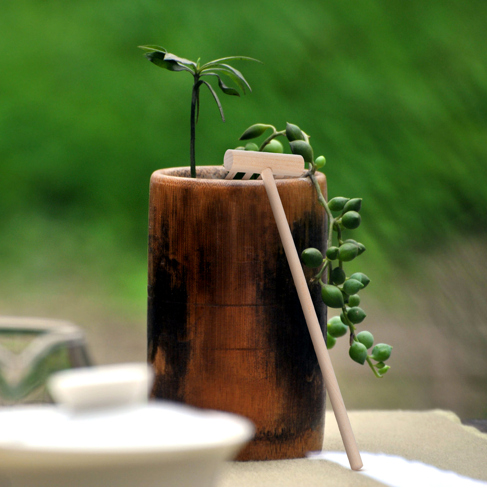 Zen Gardening Tools - Набор из 10 мини-грабель для дзен-сада,