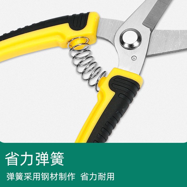 Ножницы для обрезки цветочных  – обзор и цена Gardening Tools To Cut Branches