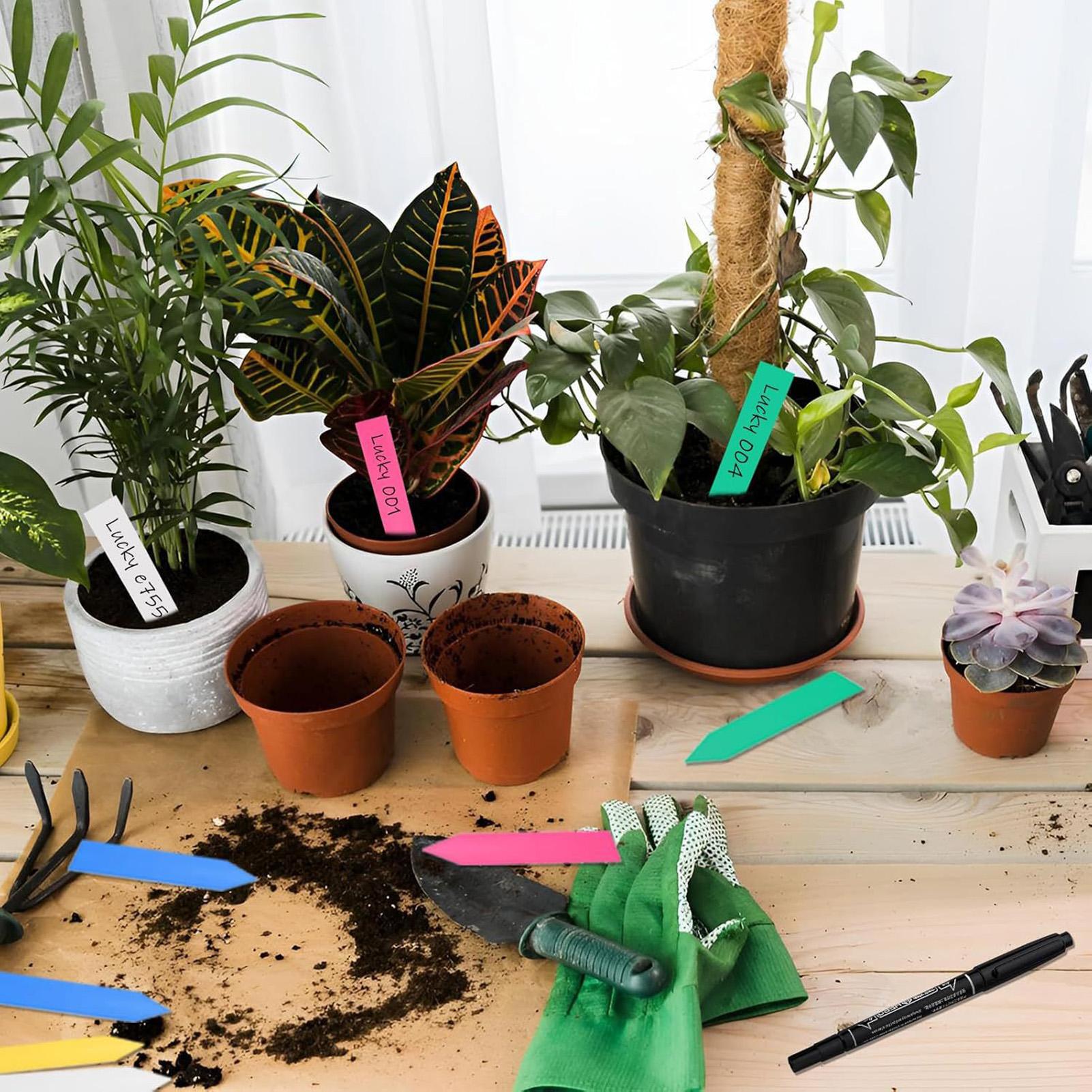 500 шт. этикеток для растений, – обзор и цена Plant Label Tags
