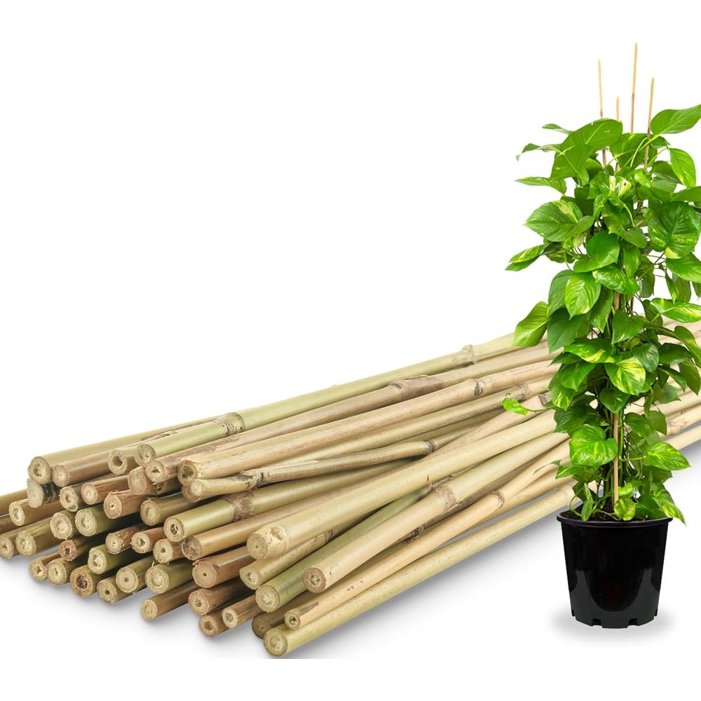 Набор из 50 бамбуковых опор дл – обзор и цена Plant Support Stake