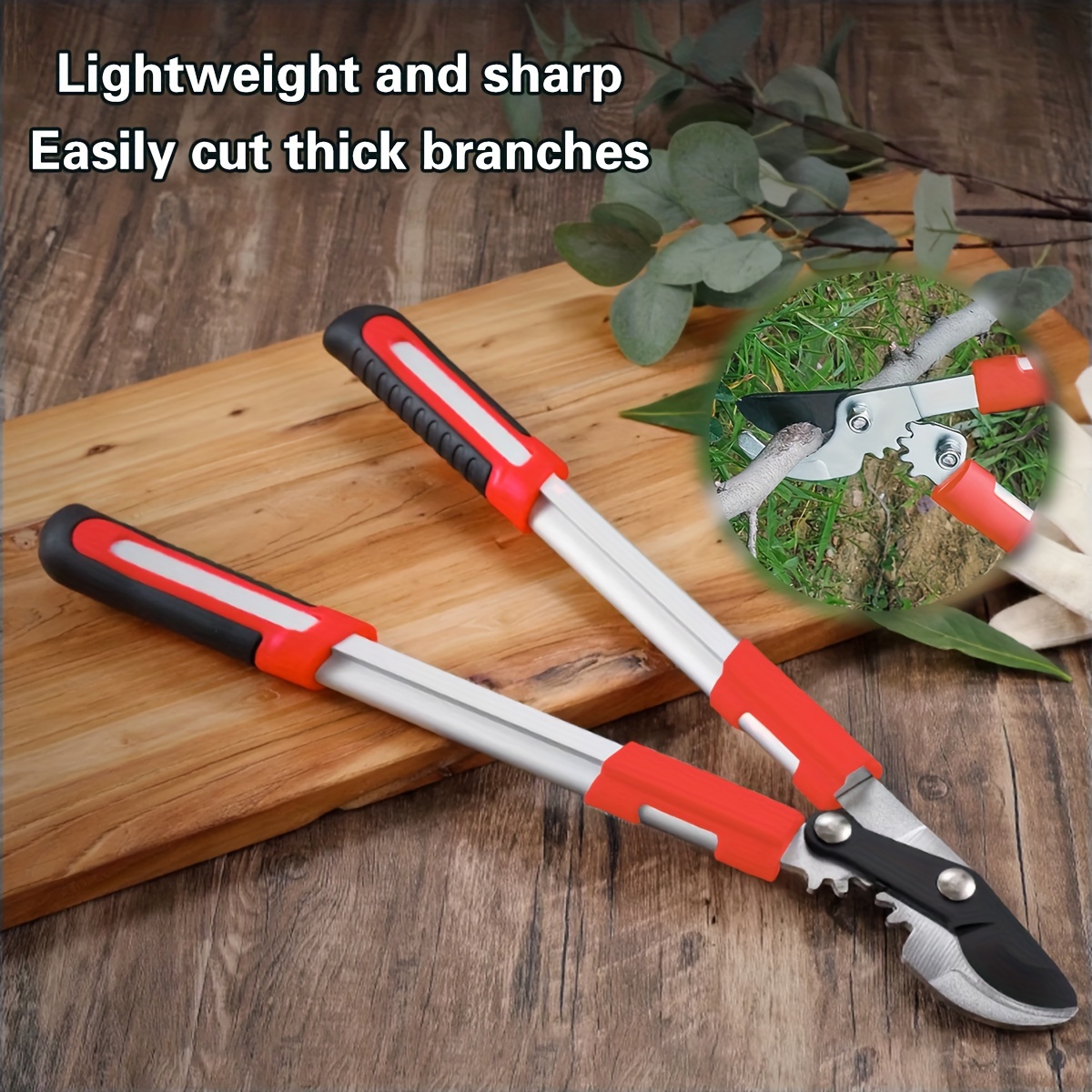 Секаторы для обрезки деревьев, – обзор и цена Gardening Tools To Cut Branches