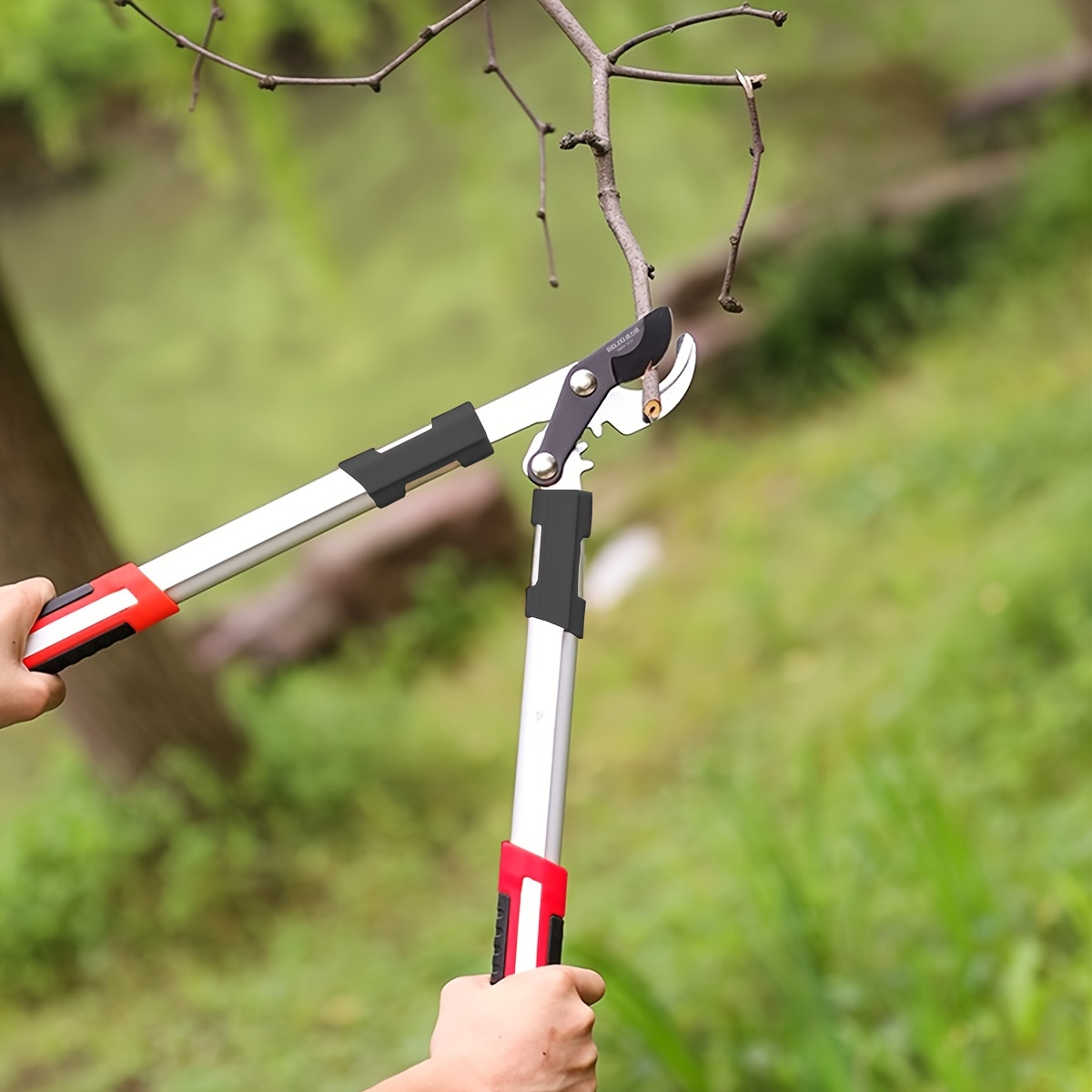 Секаторы для обрезки деревьев, – обзор и цена Gardening Tools To Cut Branches
