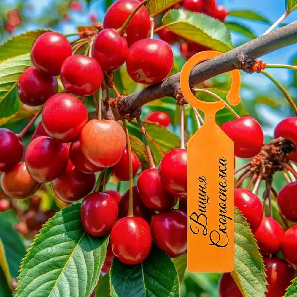 Многоразовые пластиковые водон – обзор и цена Plant Label Tags