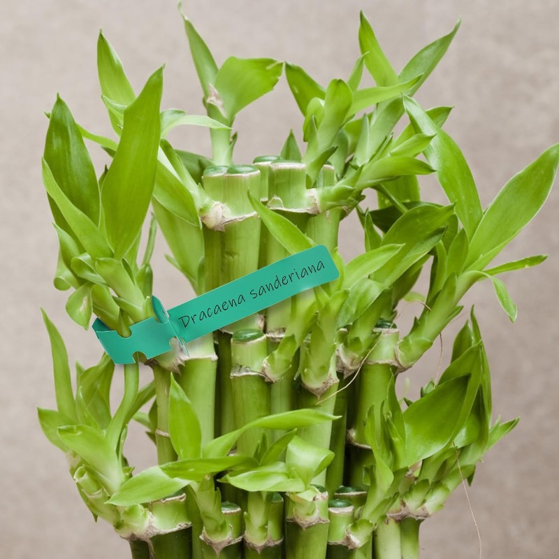 Бирки для растений / Метки для – обзор и цена Plant Label Tags