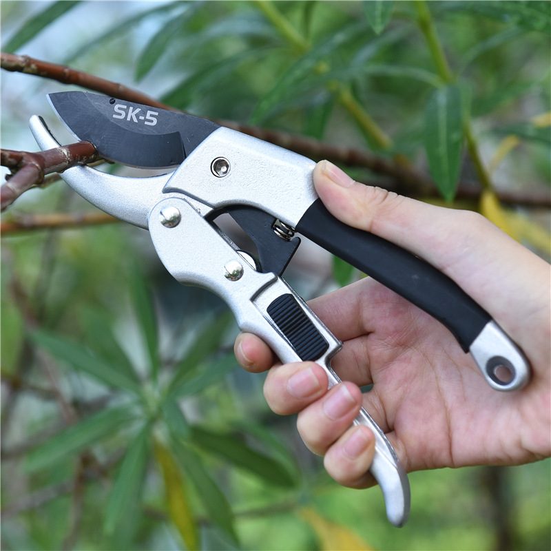 Новый 20 см трещотка, отделка  – обзор и цена Gardening Tools To Cut Branches
