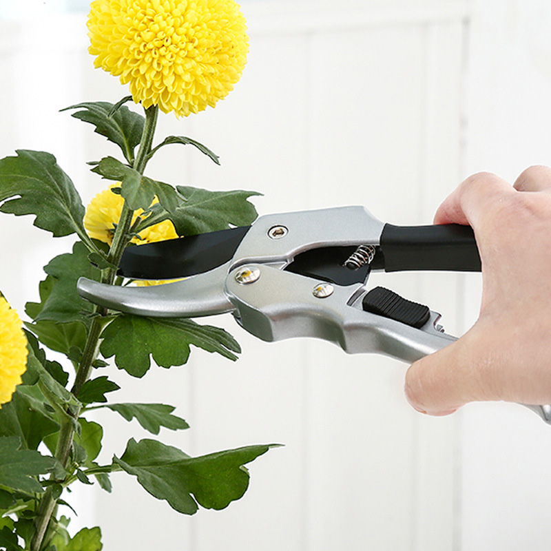 Новый 20 см трещотка, отделка  – обзор и цена Gardening Tools To Cut Branches