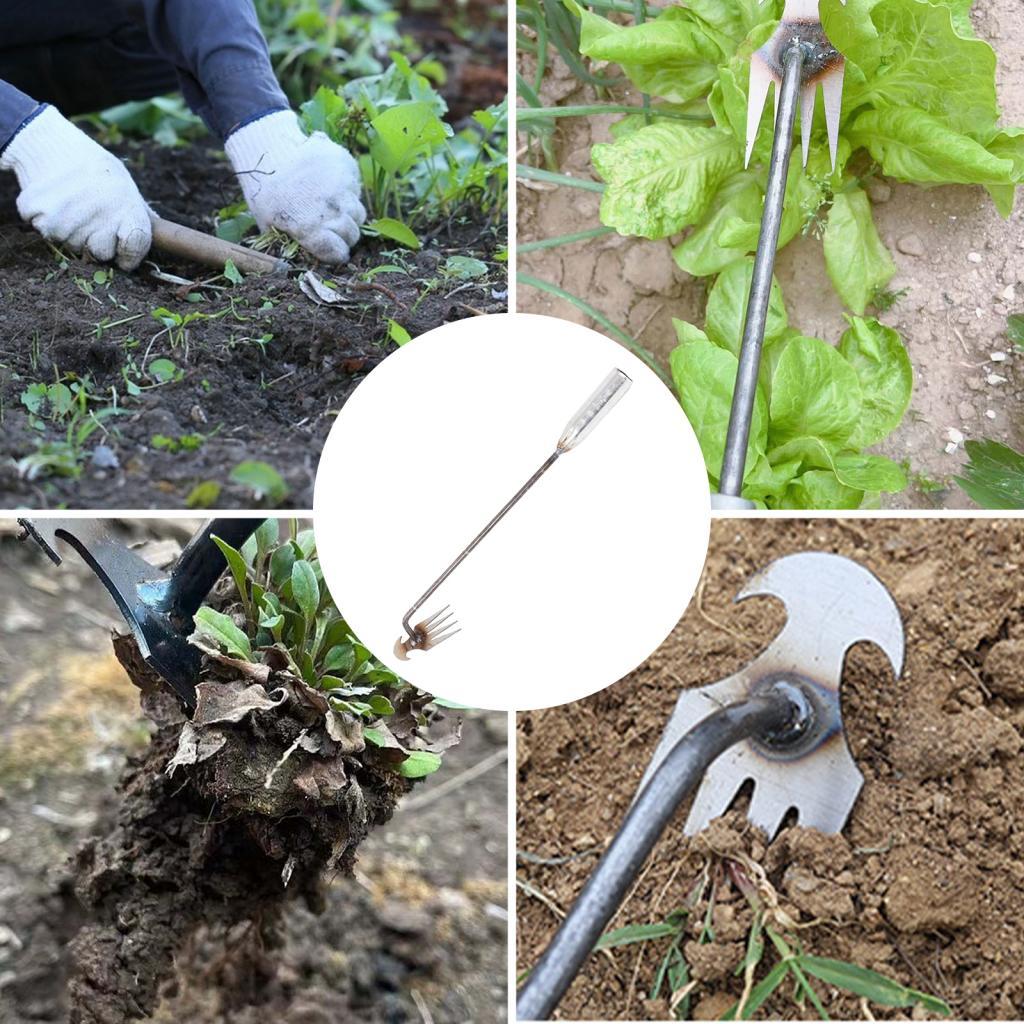 Садовый инструмент для прополк – обзор и цена Gardening Tools Hoe