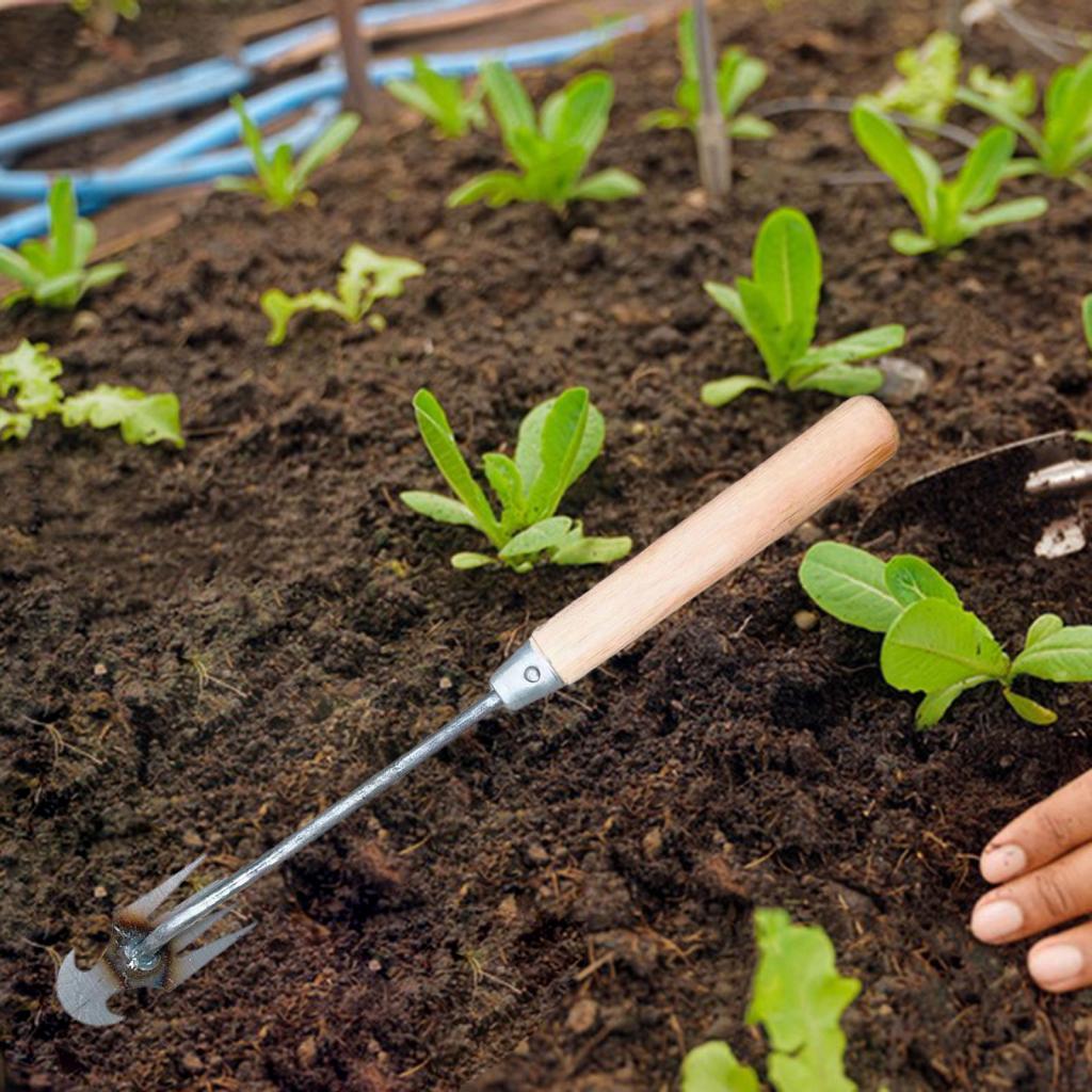Садовый инструмент для прополк – обзор и цена Gardening Tools Hoe