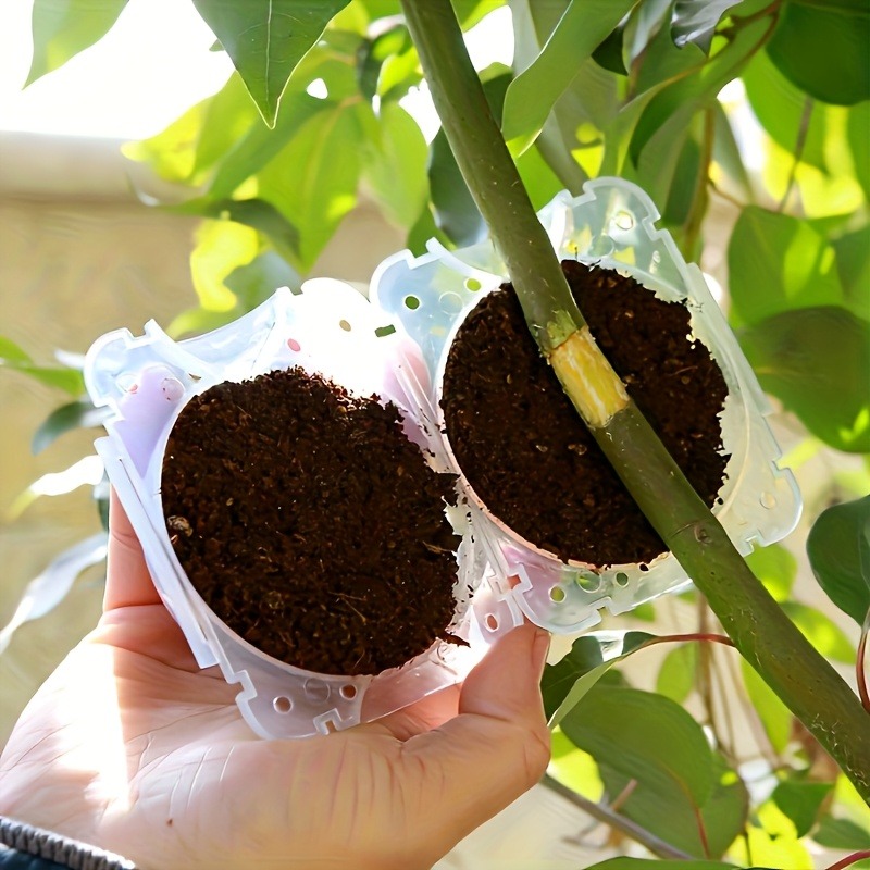 Набор из 10 предметов для прив – обзор и цена Gardening Tools To Cut Branches
